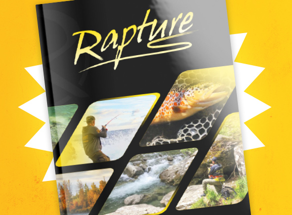 Rapture Concept Catalogue